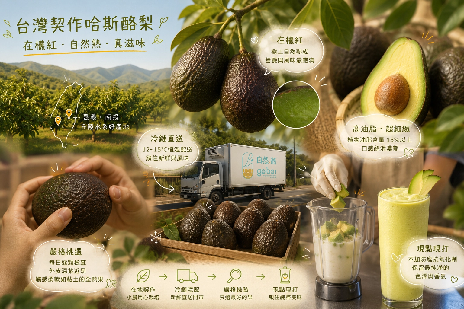 酪梨牛奶、自然湉、手搖飲、台灣酪梨