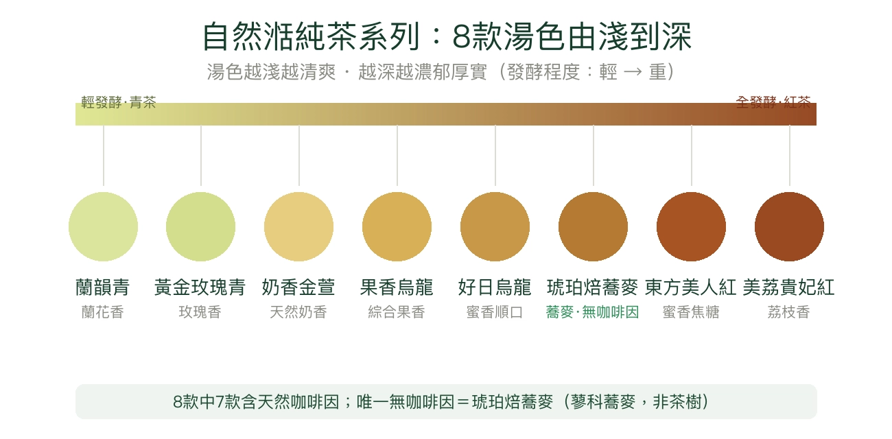 自然湉純茶系列8款湯色由淺到深發酵光譜