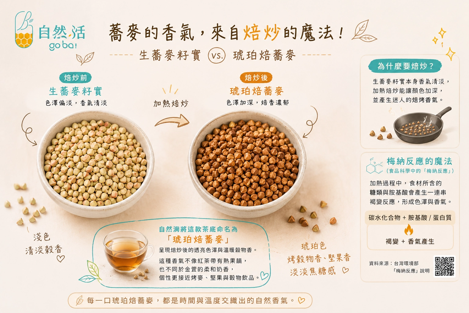 蕎麥焙炒前後的顏色與香氣變化