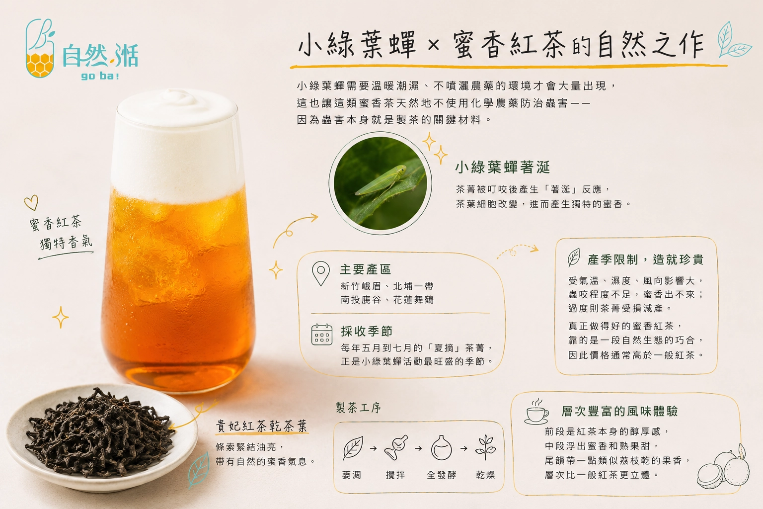 小綠葉蟬著涎貴妃紅茶葉特寫
